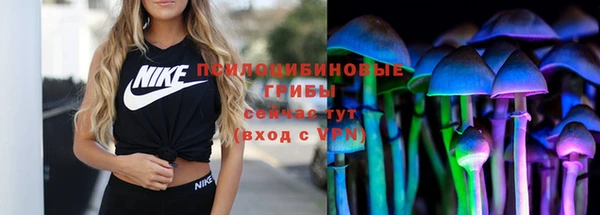 альфа пвп Новокубанск