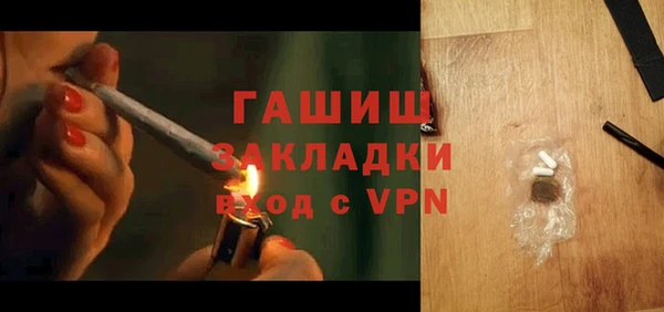 индика Новодвинск