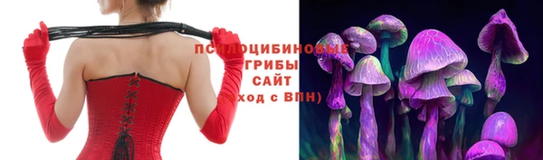 твердый Нефтекумск