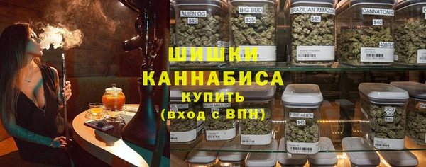индика Новодвинск