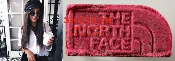 индика Новодвинск