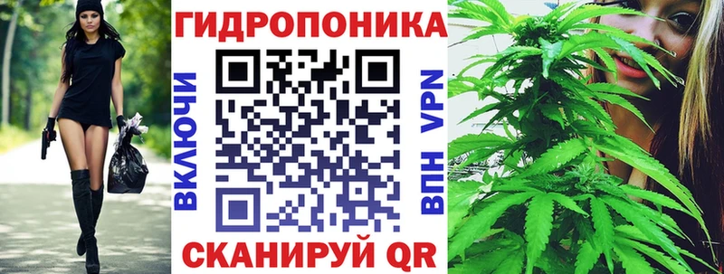 Купить  Алексеевка  Конопля тримм 